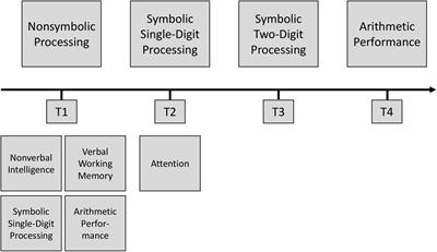 Symbolic Processing Mediates the Relation Between Non-symbolic Processing and Later Arithmetic Performance